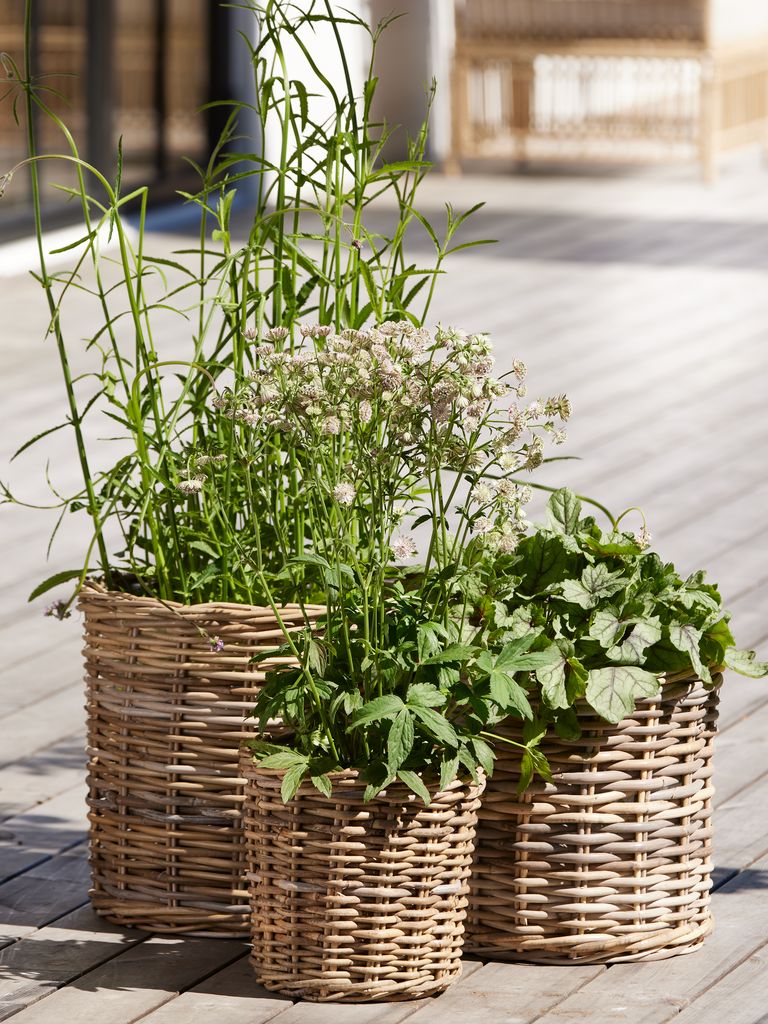 SANSEBIE Kurv blomsterpotte SANSEBIE Ø25/33/40 naturlig kube 3 stk/sett