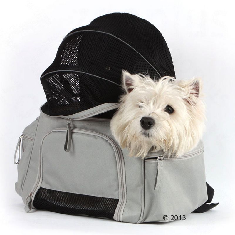 Rucksack-Tragetasche Sightseeing zu TOP-Preisen