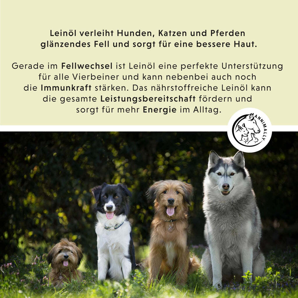 Annimally Ergänzungsfutter & Aufzucht Annimally Leinöl