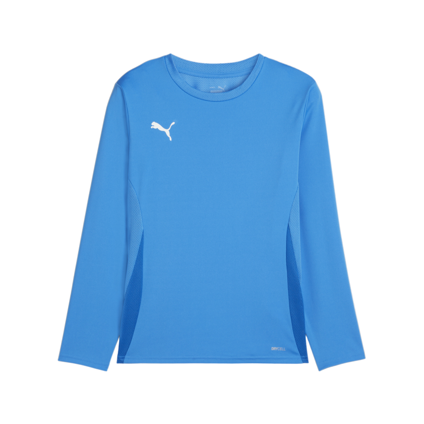PUMA teamGOAL Trikot Langarm Kids Blau Weiss F02