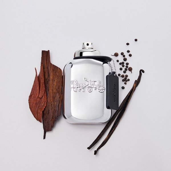 Coach Platinum Eau de Parfum