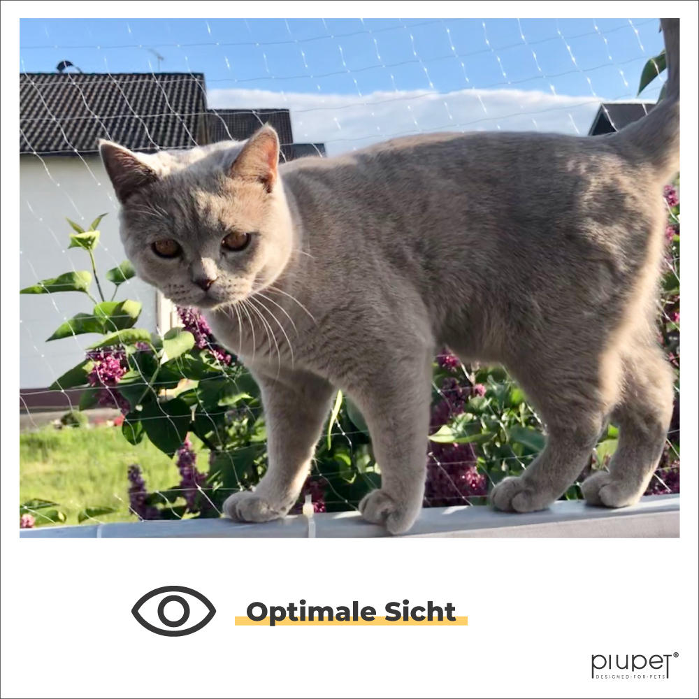 PIUPET Schutznetze PIUPET Katzennetz transparent