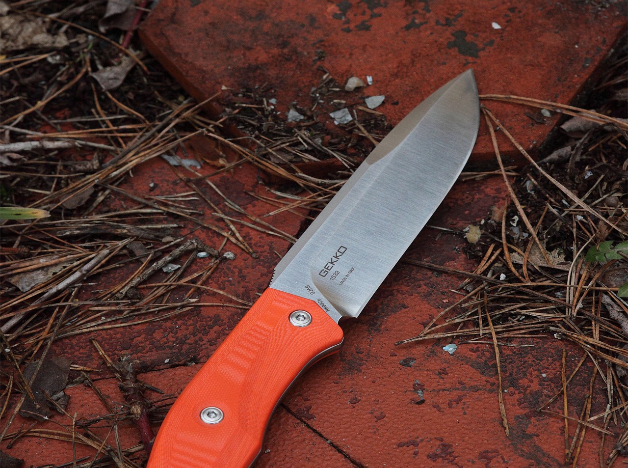 Gekko 1533