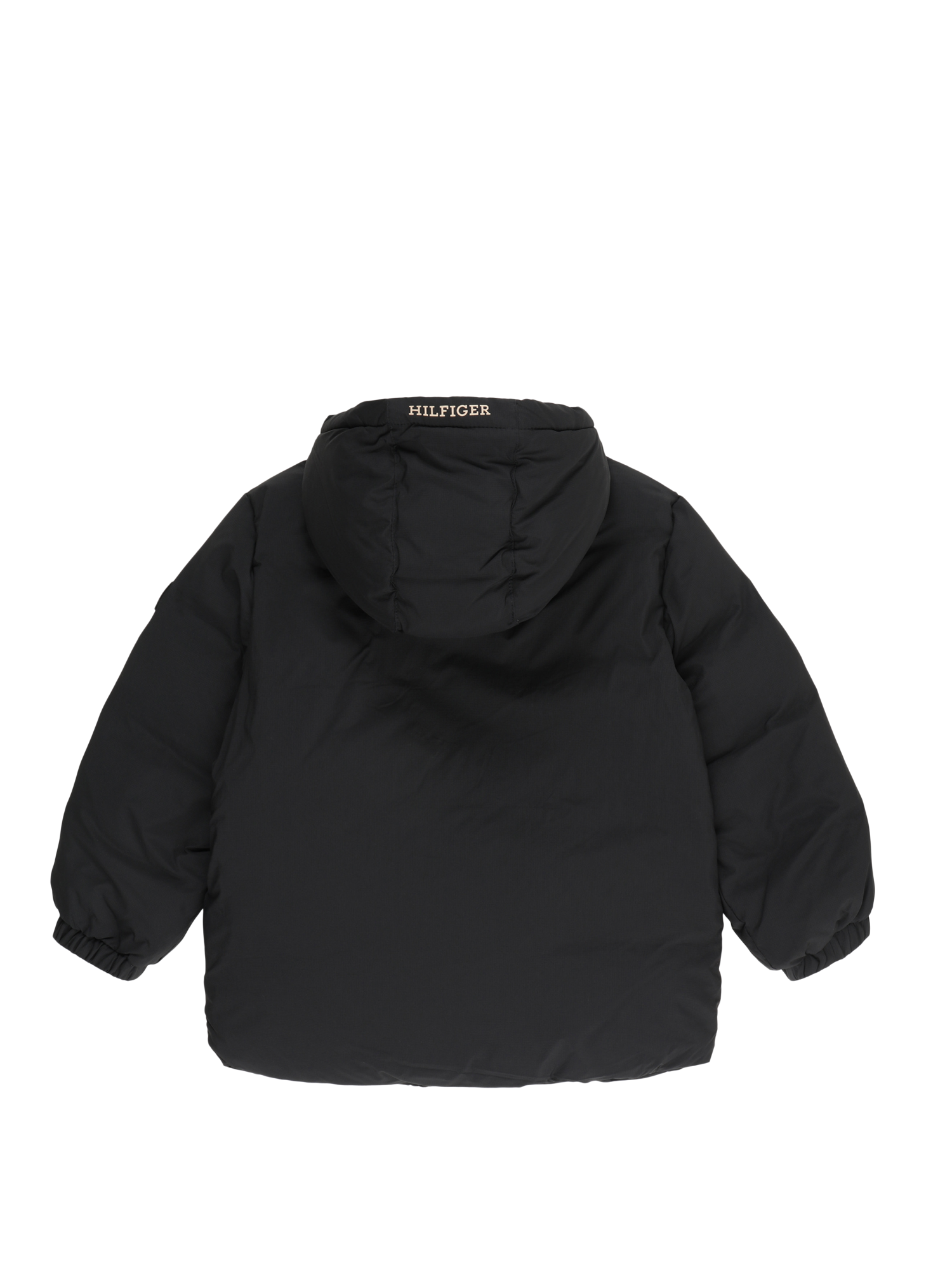 Winter Jacket