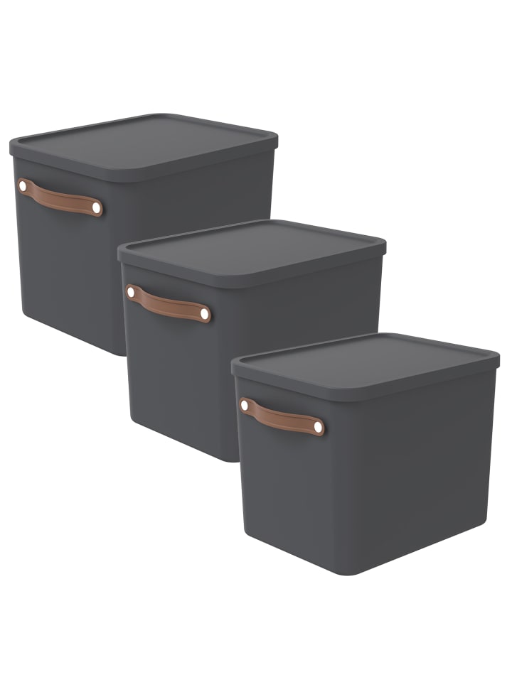 Rotho 3er-Set Aufbewahrungsbox Maloja 27l günstig kaufen onesize