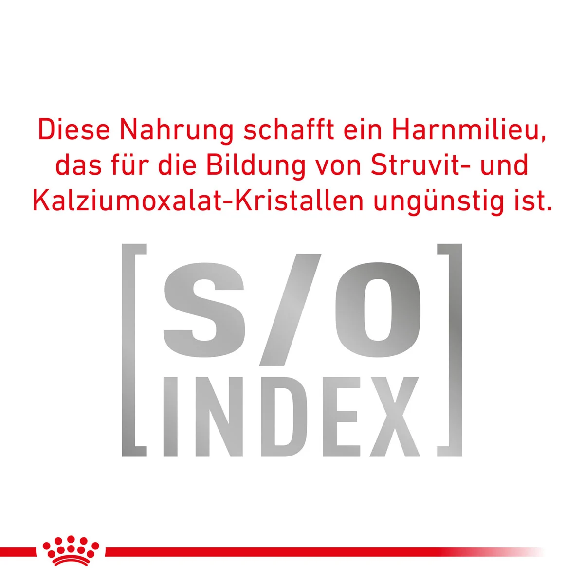 ROYAL CANIN Expert ADULT SMALL DOGS Trockenfutter für Hunde