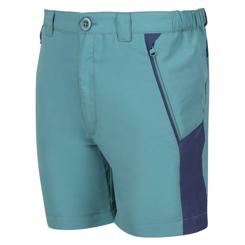 Regatta Sorcer Mountain III Shorts Kinder
