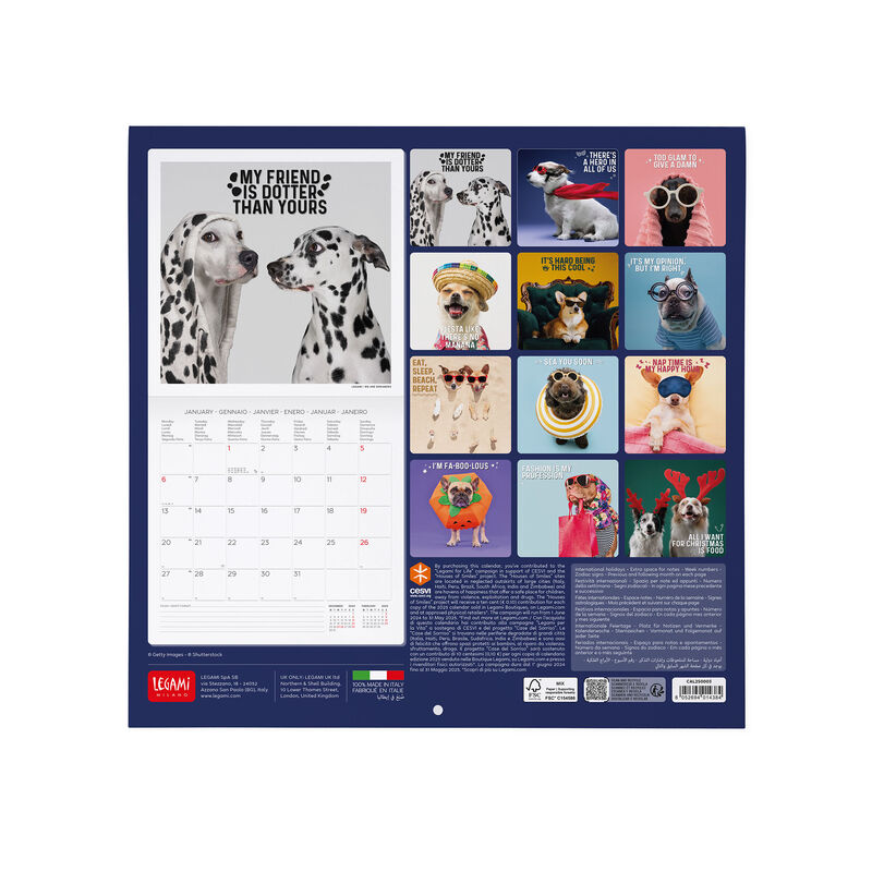 Calendario de pared 2025 - 30 x 29 cm