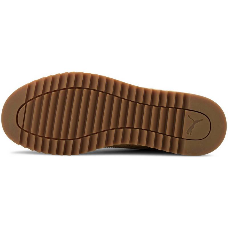 PUMA Desierto V2 Pure TEX Boots Herren