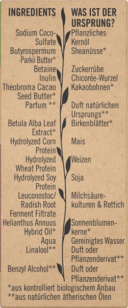 Sante FAMILY Festes Glanz Pflege-Shampoo Bio-Birkenblatt & pflanzliches Protein Festes Shampoo