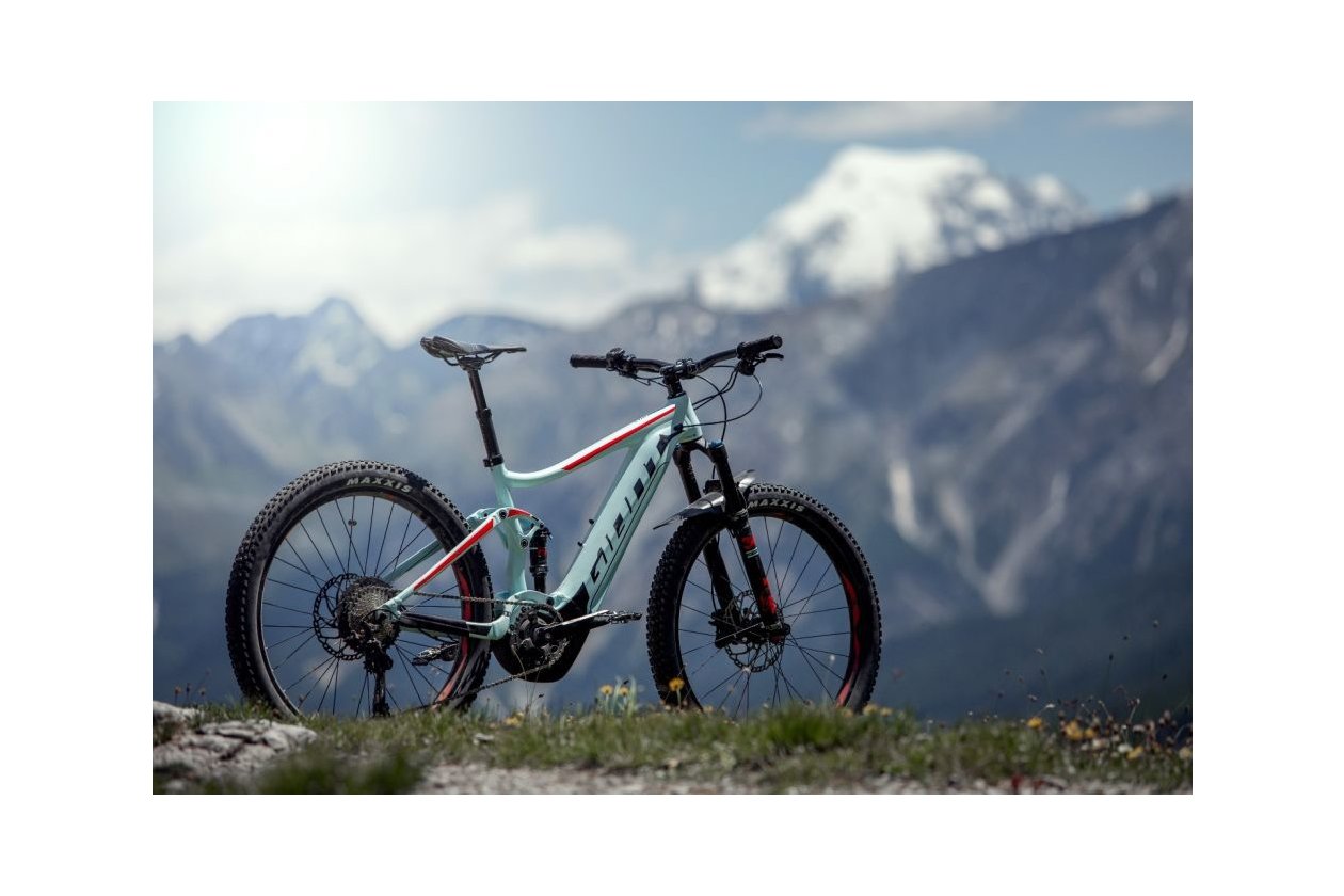 Giant Proguard E-Bike Spritzschutz