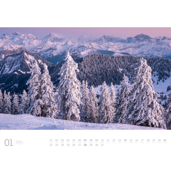 WALD - ACKERMANN GALLERY KALENDER 2024 - Kalender