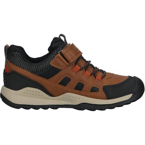 Geox Sneaker