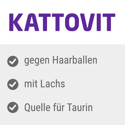 Kattovit Vital Care Anti Hairball mit Lachs