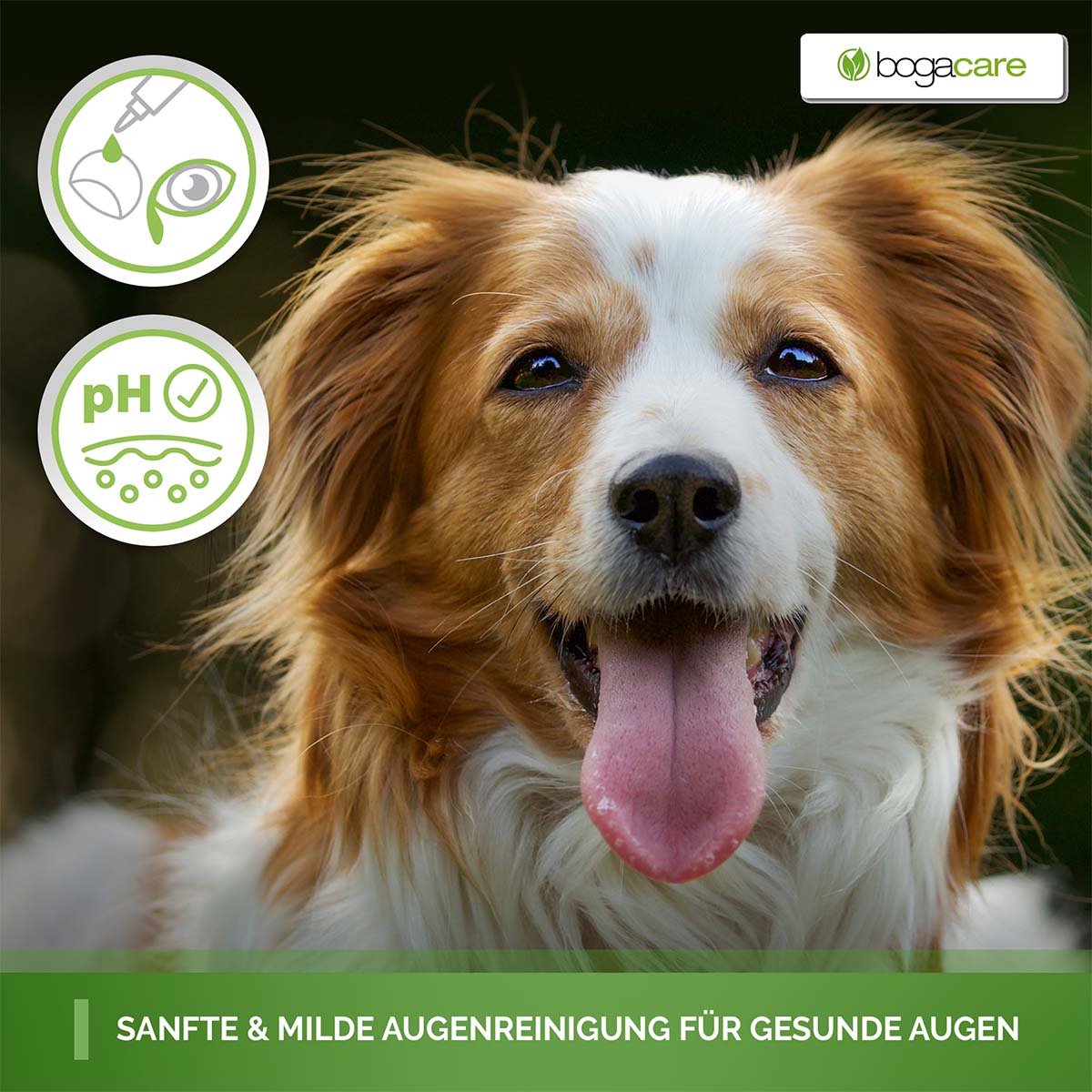 bogacare Perfect Eye Cleaner Hund 100 ml kaufen bei ZooRoyal