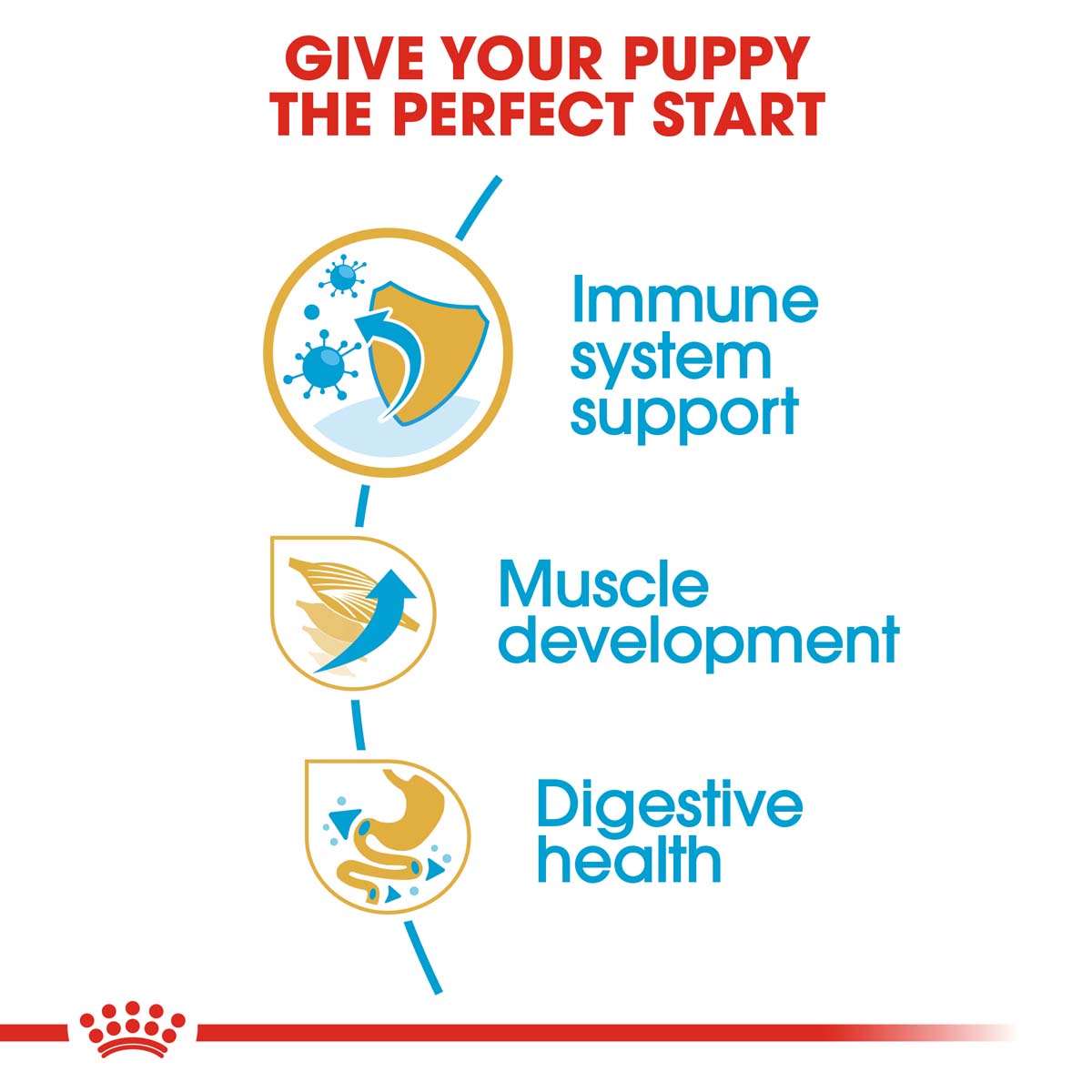 ROYAL CANIN Boxer Puppy Welpenfutter trocken kaufen bei ZooRoyal