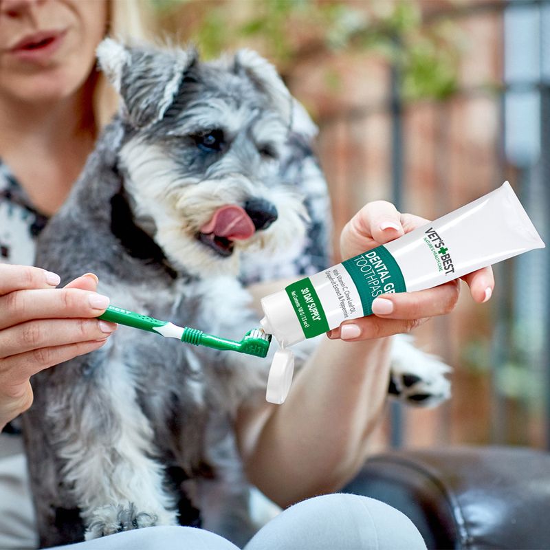 Vet's Best Zahnpflege Set für Hunde zu TOP-Preisen
