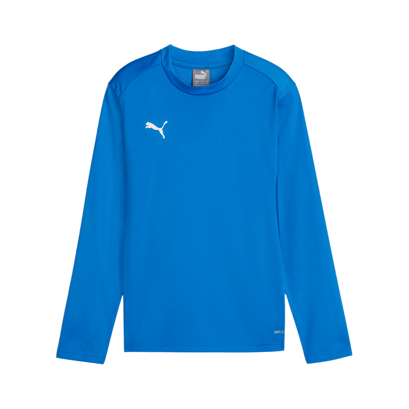 PUMA teamGOAL Training Sweatshirt Kids Blau F02