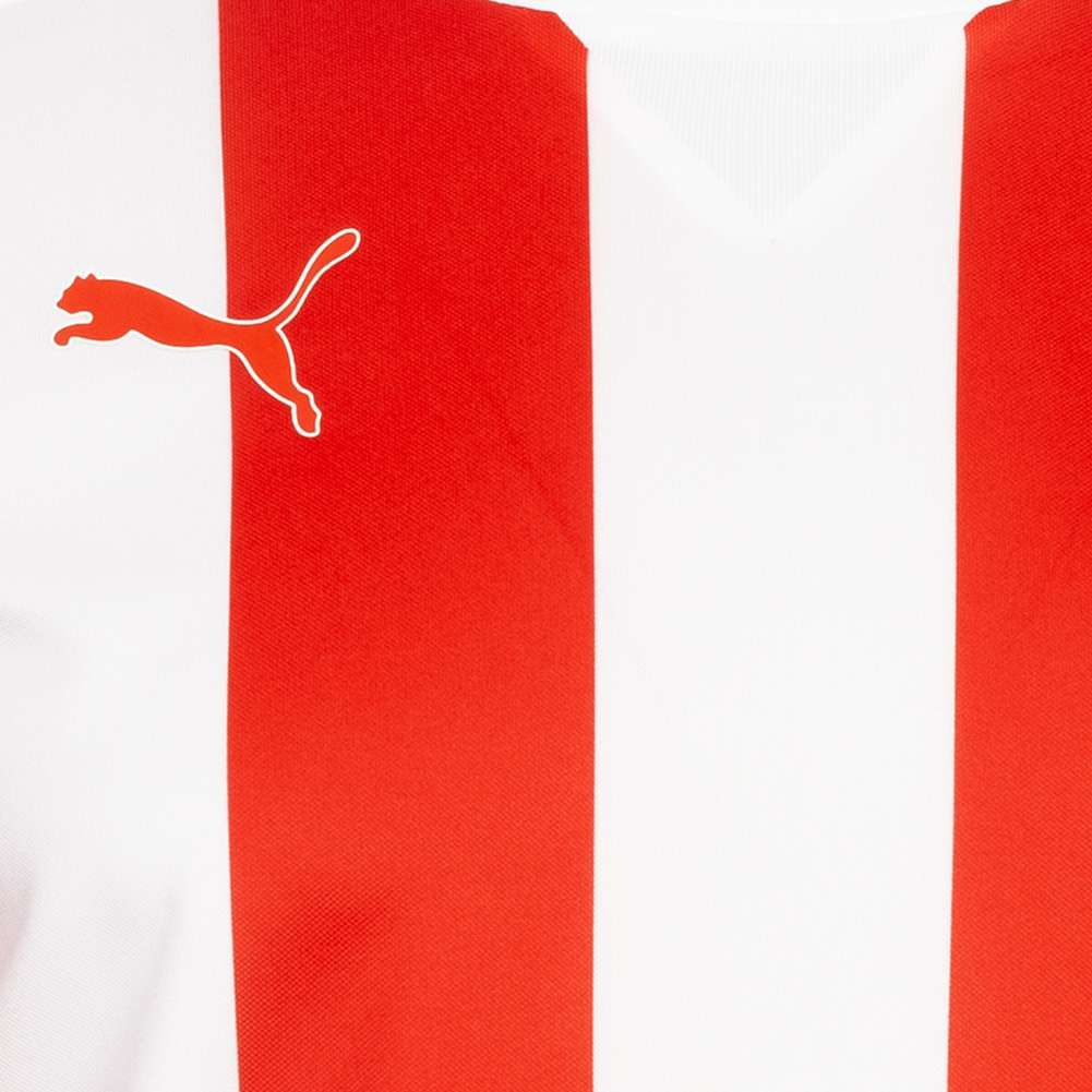 PUMA Striped Herren Langarm Trikot 702086-01
