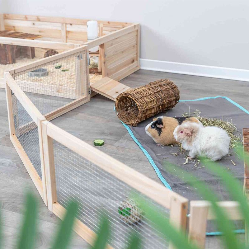 Trixie Indoor-Freilaufgehege für Meerschweinchen
