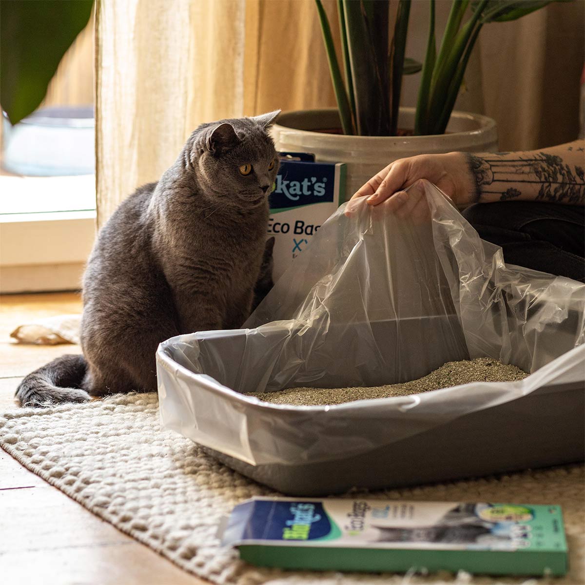 Biokat's Eco Bags XXL 12 Stück günstig kaufen