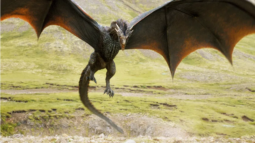 Game of Thrones - Staffel 4  [5 DVDs]