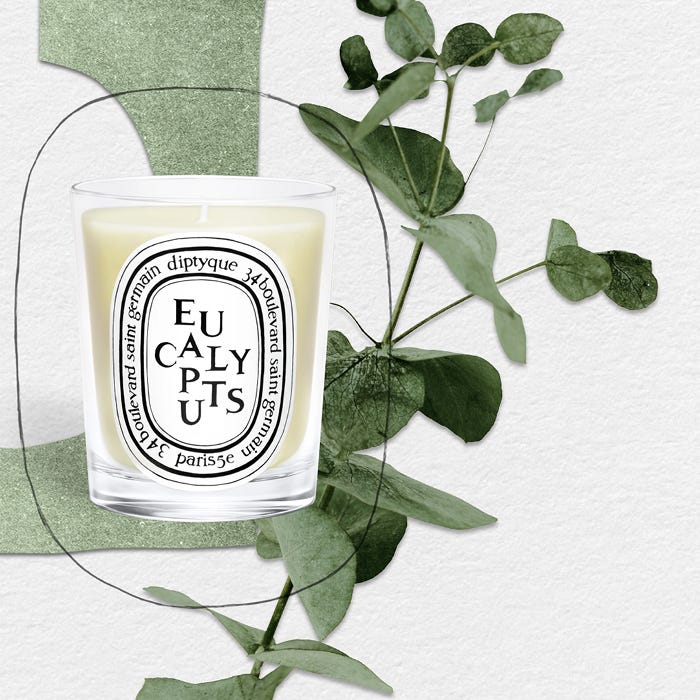 Eucalyptus - Bougie modèle classique