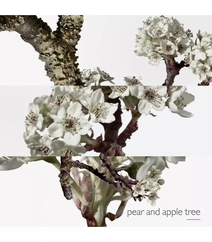 UN JARDIN SUR LE TOIT Eau de Toilette Vaporisateur