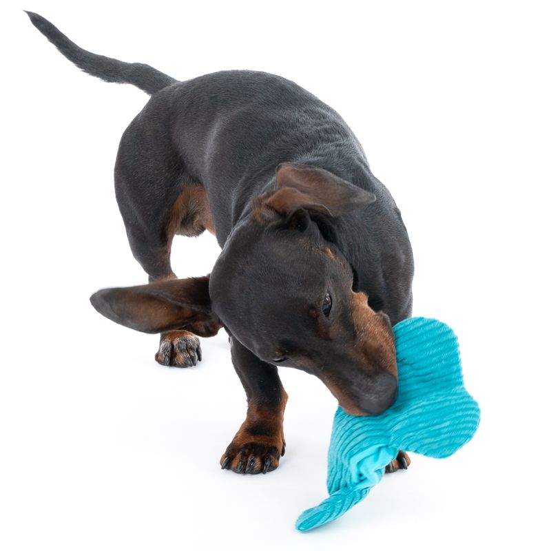 TIAKI Hundespielzeug Bite Me Plüschknochen
