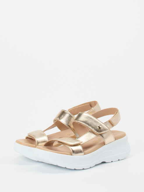 Plateau-Sandalette-12458890002 Panama Jack