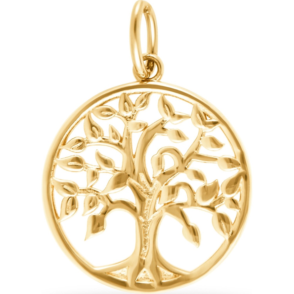 FAVS Pendentif 375 Or jaune Pendentif