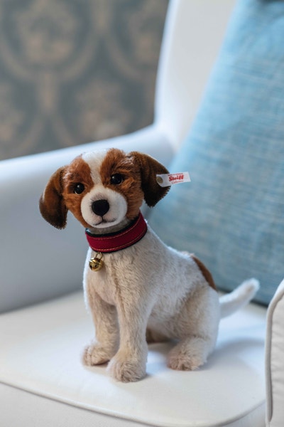 Matty Jack Russell Terrier, 25 cm, beige