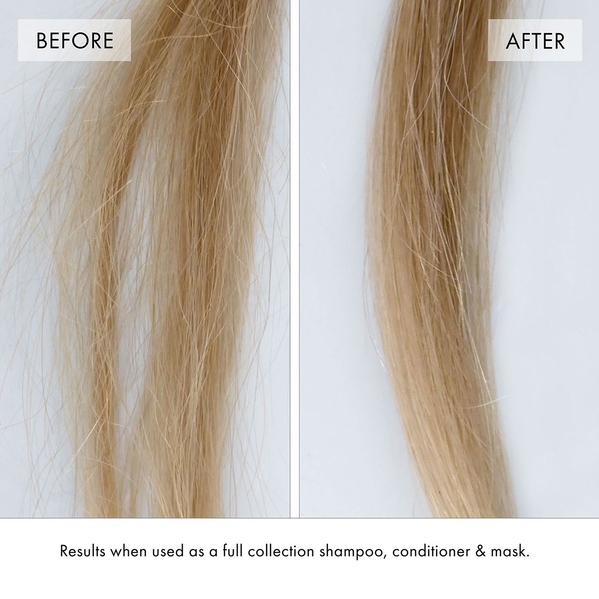 Super Strength Protein Power Bond Mist