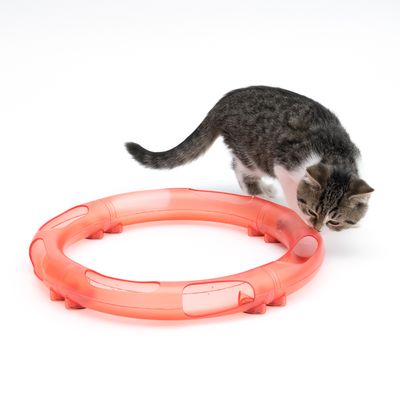 TIAKI Kugelbahn Roundabout für Katzen