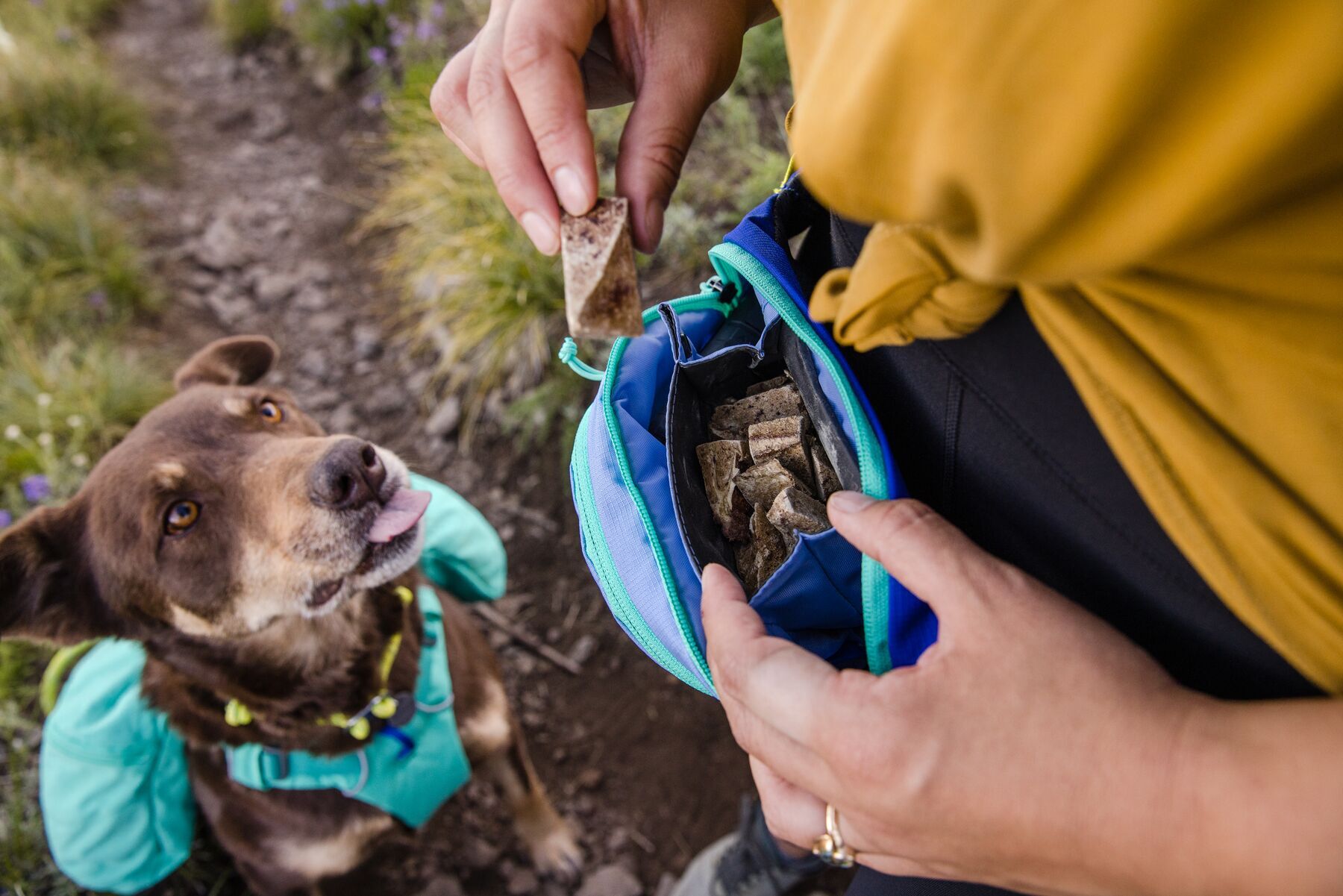 Ruffwear Snackbeutel Ruffwear Home Trail™ Hüfttasche