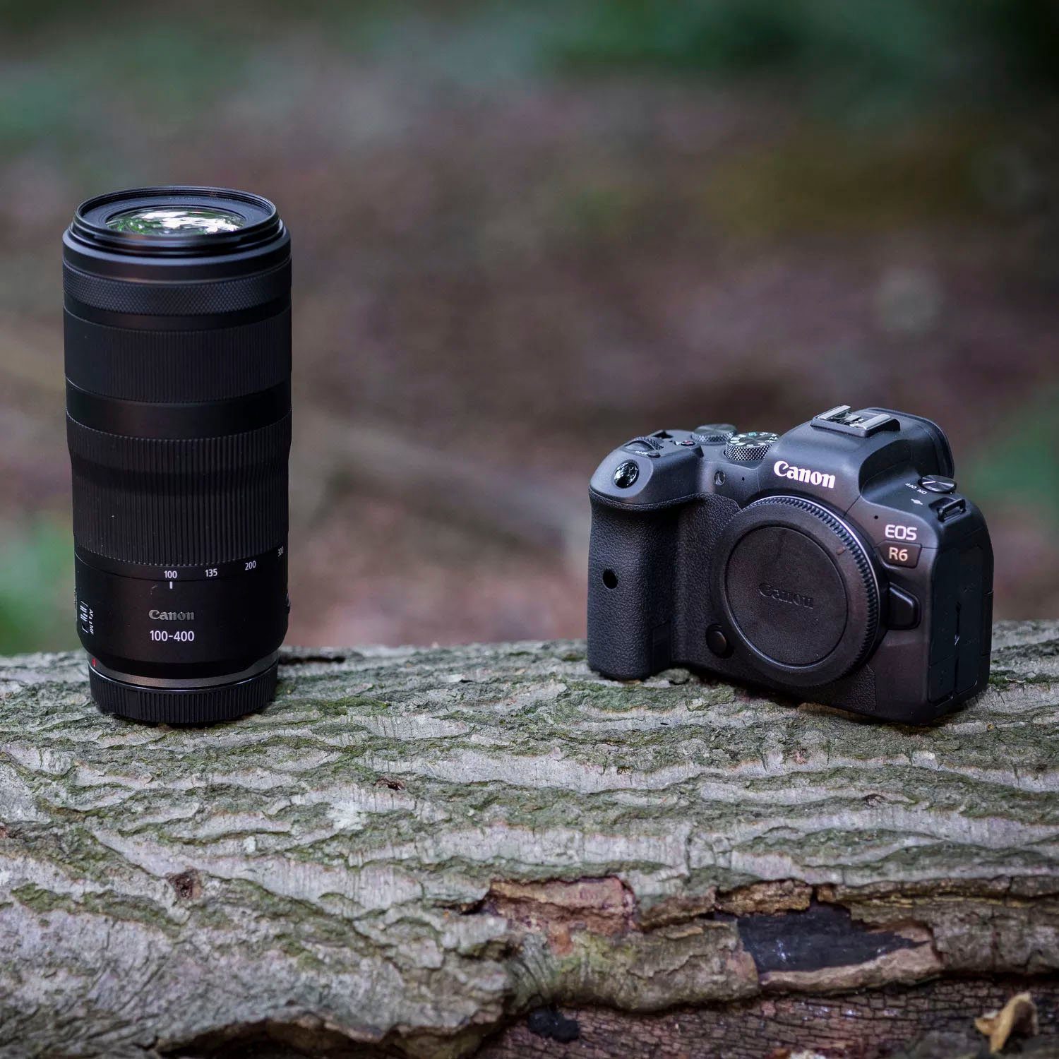 Canon RF 100-400mm F5.6-8 IS USM Objektiv