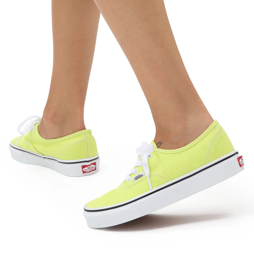 Vans Color Theory Authentic VN0A5KS9ZUD1 / grün