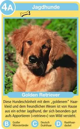 Hunde - Kartenspiel ab 4 Jahren