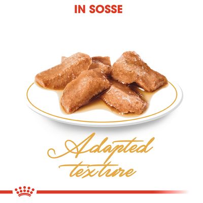 Royal Canin Maine Coon Adult in Soße