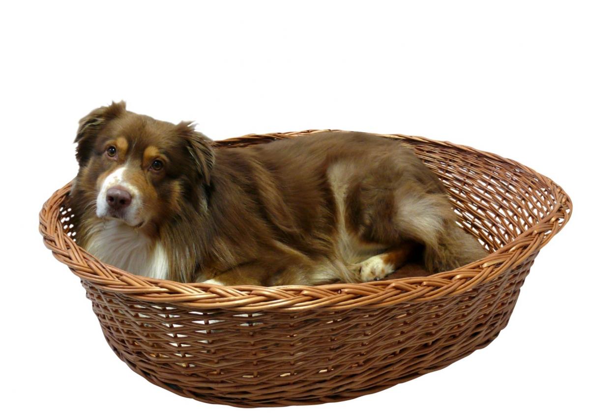 Silvio Design Hunde Ruhekorb mit Kissen Gr. 5