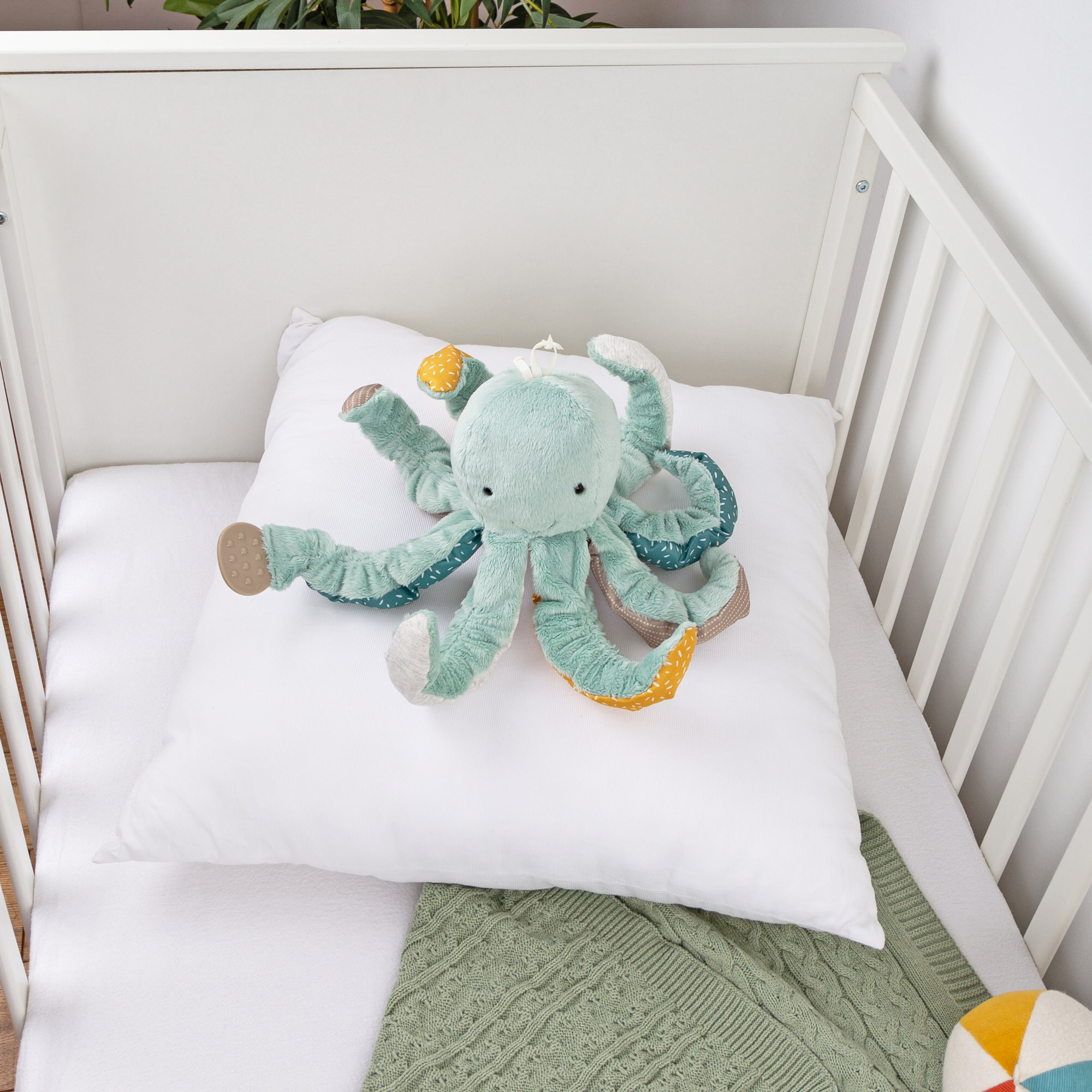 Baby Aktiv Krake
