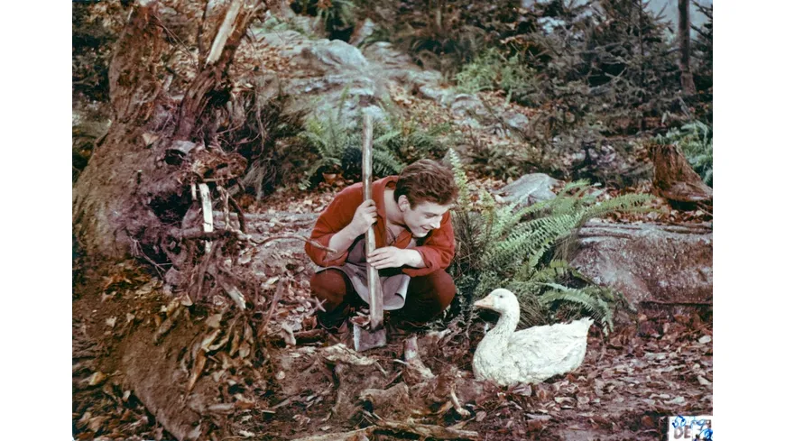 Die goldene Gans (Filmjuwelen / DEFA-Märchen)