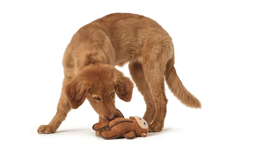 Hunter Hundespielzeug Tough Toys Affe 10 cm