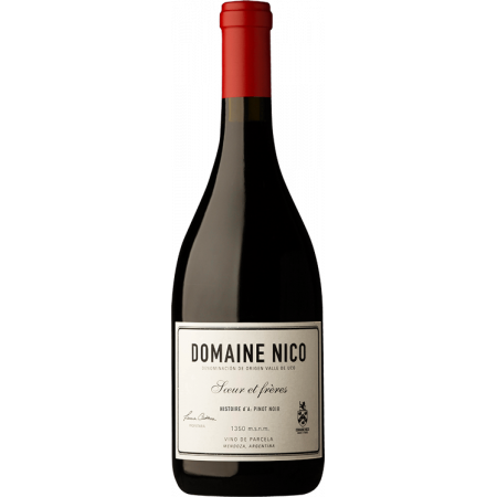 HISTOIRE D'A PINOT NOIR 2021 - DOMAINE NICO