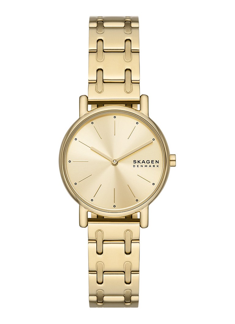 Ceas Skagen Signatur Lille SKW3124