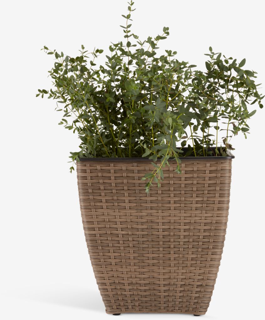 Cesta vaso ISLOM ISLOM W38xD38xH39, várias cores
