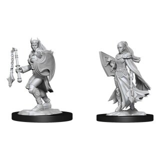 D&D Nolzur's Marvelous Miniatures - Kalashtar Cleric Female