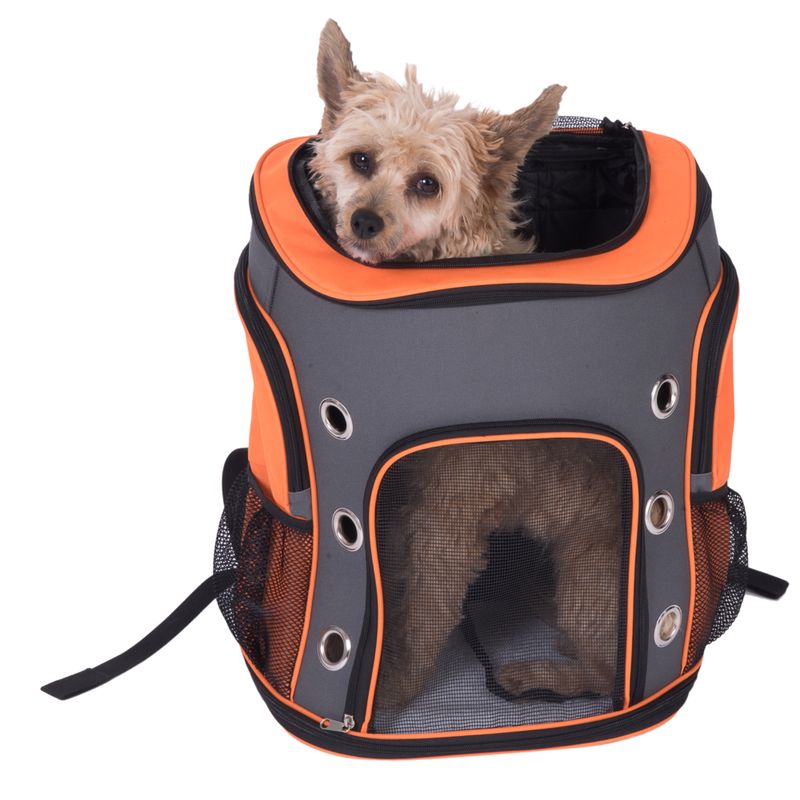 Rucksack Voyage zu TOP-Preisen