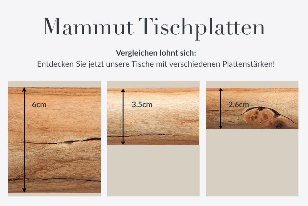 riess-ambiente Baumkantentisch MAMMUT NATURE 200cm honigfarben (natur) / silber (Einzelartikel, 1-St), Massivholz · Edelstahl · Kufen · 6cm Platte · lackiert · Esszimmer