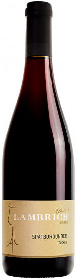 2021 Spätburgunder trocken - Weingut Albert Lambrich